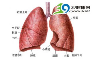 警惕癌症！6器官最危险